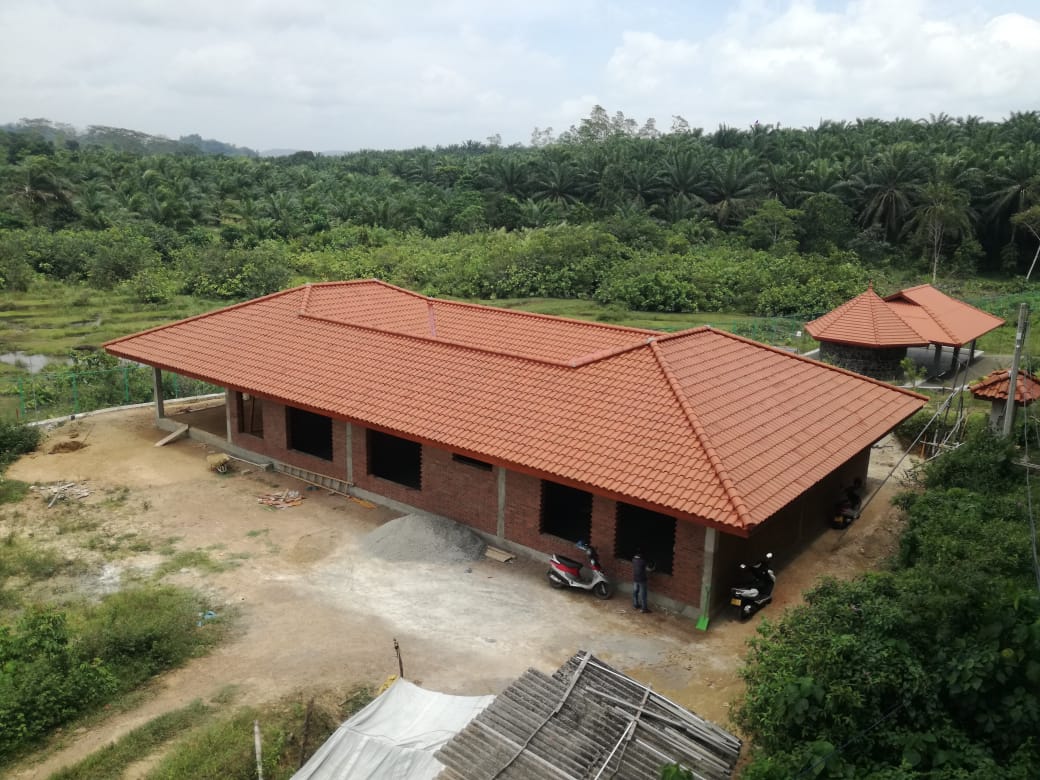Roof Masters (8)